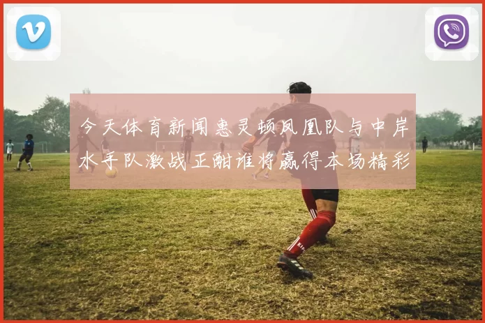 今天体育新闻惠灵顿凤凰队与中岸水手队激战正酣谁将赢得本场精彩对决